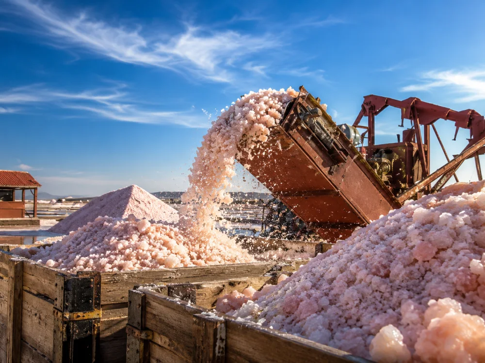 Refining at PakMines