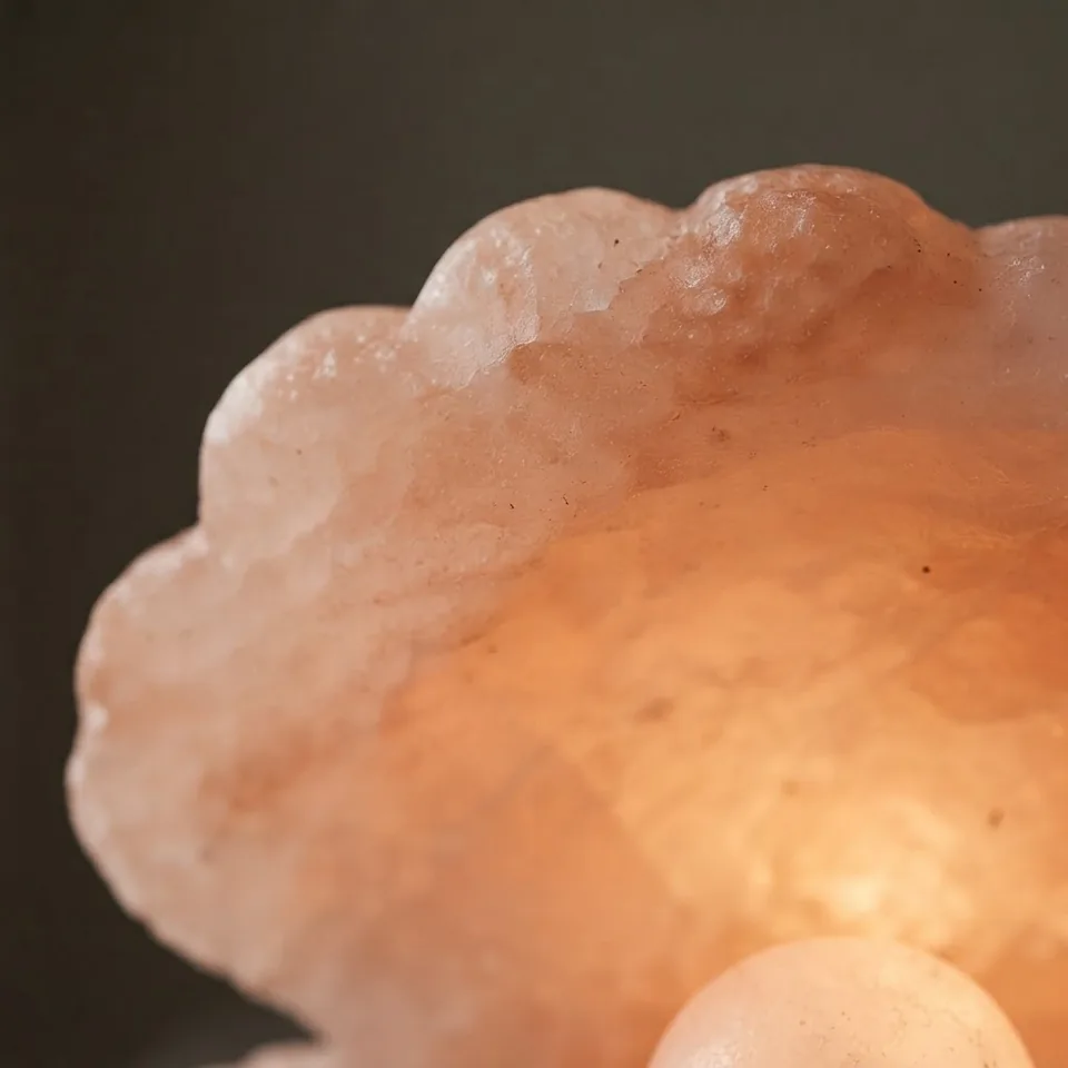 Figure Shape Salt Lamp – Pearl In Shell - Day Lifestyle